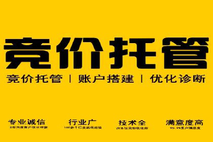 百度竞价代理实战：案例剖析与优化策略
